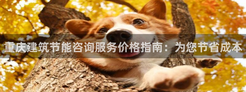 e尊电竞：重庆建筑节能咨询服务价格指南：为您节省成本