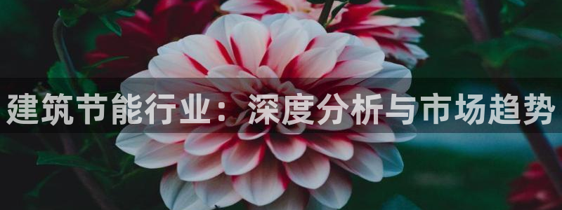 e尊国际7779：建筑节能行业：深度分析与市场趋势
