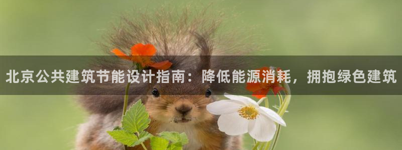 E尊国际网站：北京公共建筑节能设计指南：降低能源消耗，拥抱绿色建筑