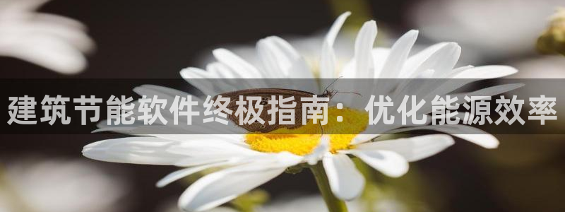 e尊国际-e尊国际官网：建筑节能软件终极指南：优化能源效率