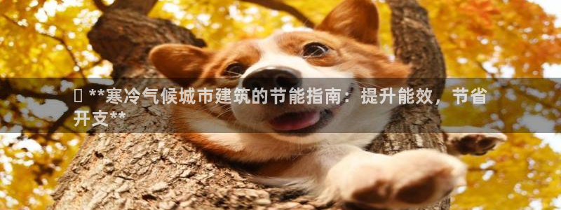 e尊国际是个黑网：✅ **寒冷气候城市建筑的节能指南：提升能效，节省
开支**