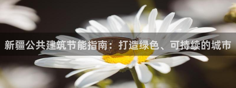 e尊国际7779：新疆公共建筑节能指南：打造绿色、可持续的城市