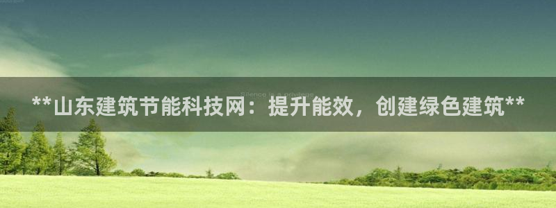 E尊国际网站：**山东建筑节能科技网：提升能效，创建绿色建筑**