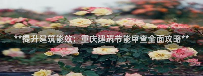 e尊国际地址：**提升建筑能效：重庆建筑节能审查全面攻略**