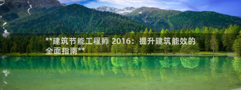 E尊国际：**建筑节能工程师 2016：提升建筑能效的
全面指南**