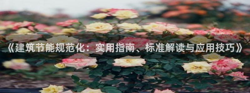 e尊国际娱乐官网地址：《建筑节能规范化：实用指南、标准解读与应用技巧》