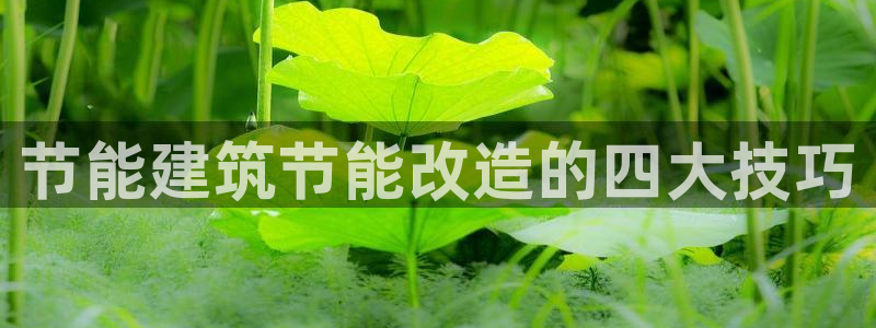 e尊国际客服：节能建筑节能改造的四大技巧