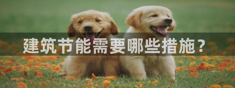 e尊国际7779：建筑节能需要哪些措施？