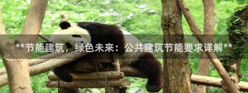 e尊国际地址：**节能建筑，绿色未来：公共建筑节能要求详解**