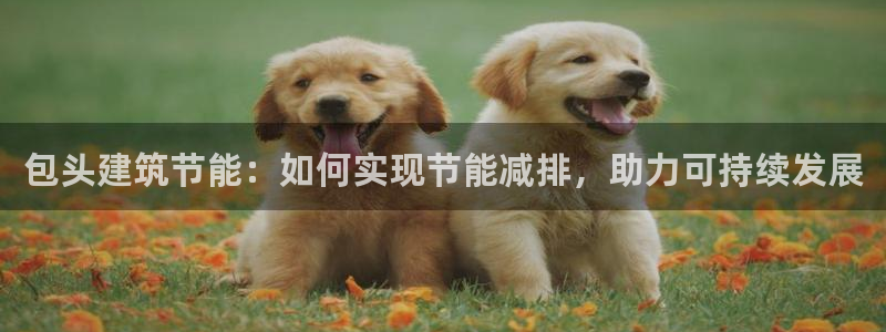 e尊国际网址：包头建筑节能：如何实现节能减排，助力可持续发展
