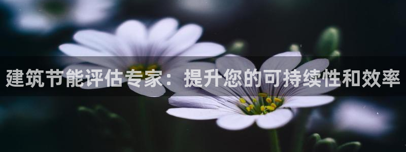 e尊国际官网：建筑节能评估专家：提升您的可持续性和效率