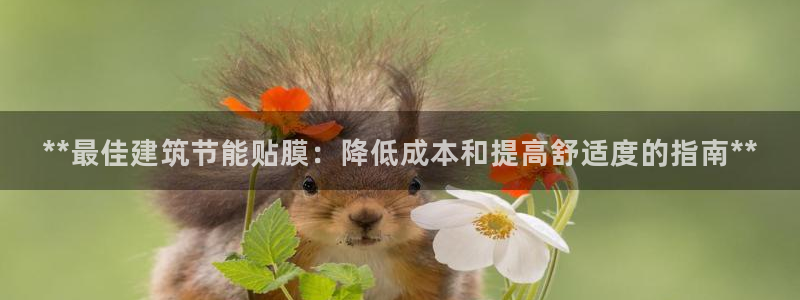 E尊国际网站：**最佳建筑节能贴膜：降低成本和提高舒适度的指南**