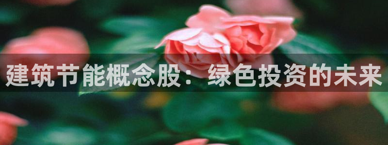e尊国际的手机登录网站：建筑节能概念股：绿色投资的未来