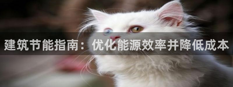 谁知道e尊国际的网址：建筑节能指南：优化能源效率并降低成本