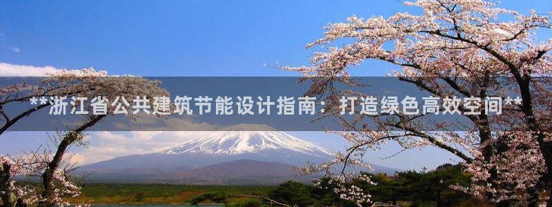 E尊国际网站：**浙江省公共建筑节能设计指南：打造绿色高效空间**