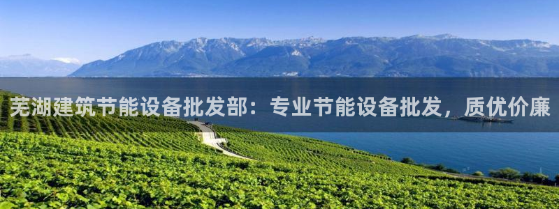 e尊国际app：芜湖建筑节能设备批发部：专业节能设备批发，质优价廉