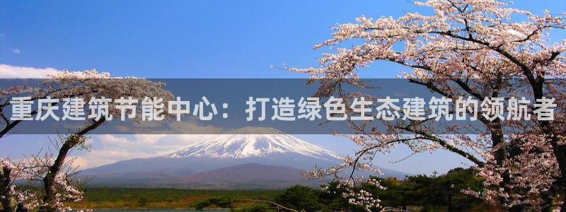 e尊国际官方网站：重庆建筑节能中心：打造绿色生态建筑的领航者