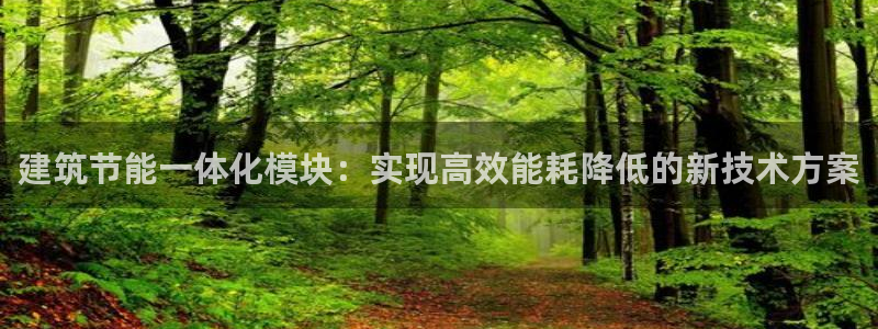 e尊国际平台：建筑节能一体化模块：实现高效能耗降低的新技术方案