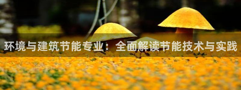 e尊国际的手机登录网站：环境与建筑节能专业：全面解读节能技术与实践