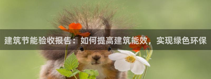 E尊国际网站：建筑节能验收报告：如何提高建筑能效，实现绿色环保