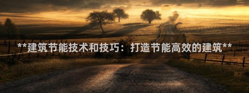 e尊体育：**建筑节能技术和技巧：打造节能高效的建筑**