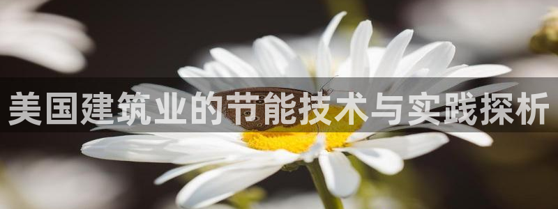 e尊国际平台：美国建筑业的节能技术与实践探析