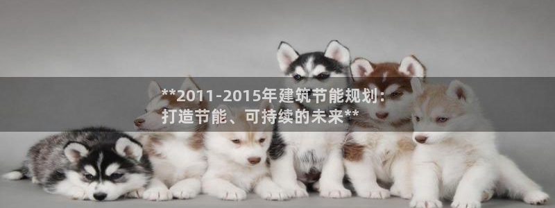 e尊国际客服：**2011-2015年建筑节能规划：
打造节能、可持续的未来**