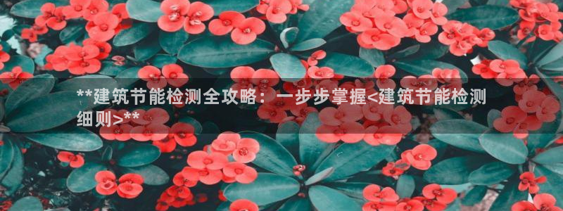 尊亿游戏国际官网：**建筑节能检测全攻略：一步步掌握<建筑节能检测
细则>**