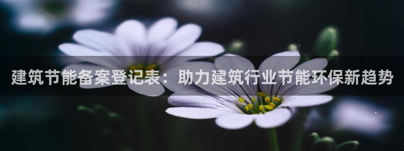 e尊国际客服：建筑节能备案登记表：助力建筑行业节能环保新趋势