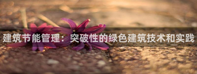 e尊官网：建筑节能管理：突破性的绿色建筑技术和实践
