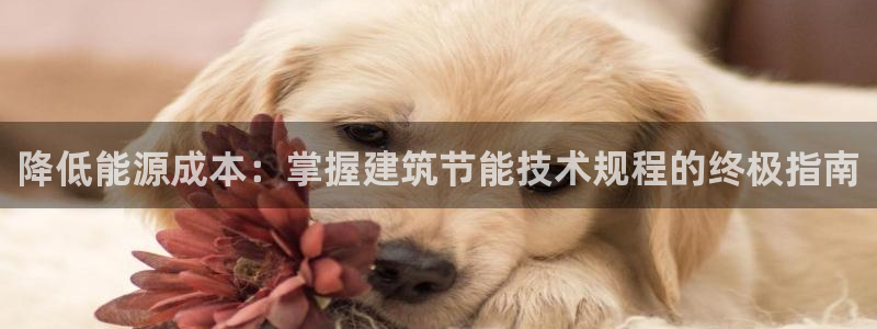 e尊国际官方网站：降低能源成本：掌握建筑节能技术规程的终极指南