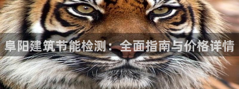 e尊国际是个黑网：阜阳建筑节能检测：全面指南与价格详情