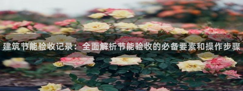 e尊国际app：建筑节能验收记录：全面解析节能验收的必备要素和操作步骤