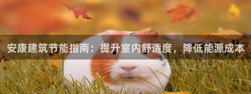 e尊国际客服