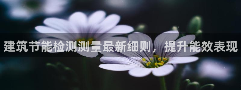 e尊国际的手机登录网站：建筑节能检测测量最新细则，提升能效表现