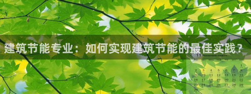 e尊国际是干什么的：建筑节能专业：如何实现建筑节能的最佳实践？