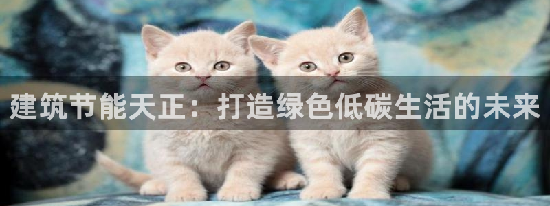 谁知道e尊国际的网址