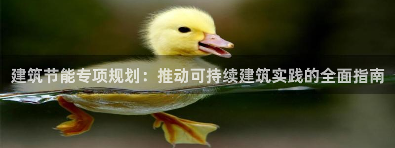 e尊国际客户端：建筑节能专项规划：推动可持续建筑实践的全面指南