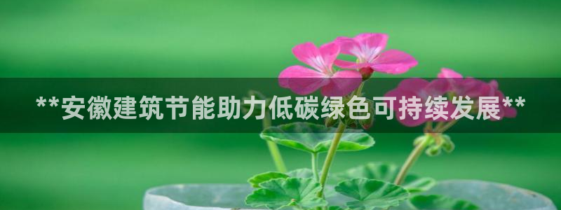 谁知道e尊国际的网址：**安徽建筑节能助力低碳绿色可持续发展**