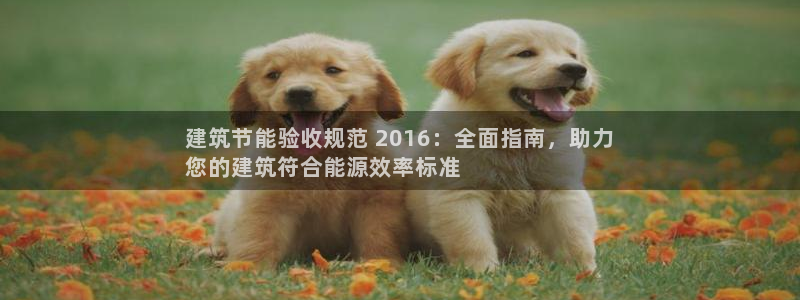 e尊体育：建筑节能验收规范 2016：全面指南，助力
您的建筑符合能源效率标准