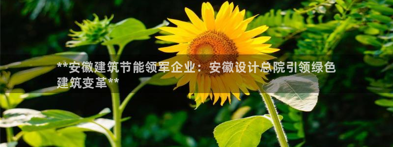 e尊国际-可可计划：**安徽建筑节能领军企业：安徽设计总院引领绿色
建筑变革**