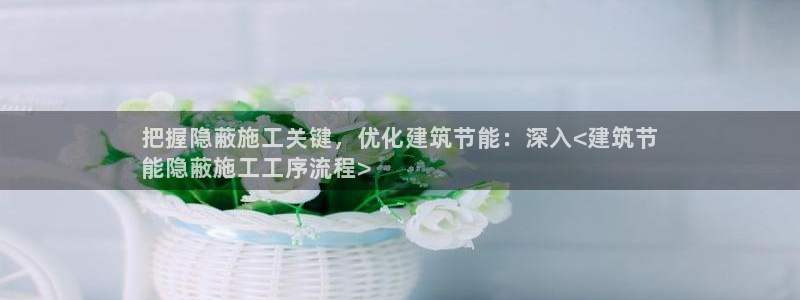 E尊国际网站：把握隐蔽施工关键，优化建筑节能：深入<建筑节
能隐蔽施工工序流程>