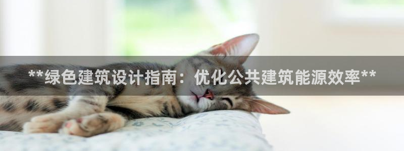 e尊国际是干什么的：**绿色建筑设计指南：优化公共建筑能源效率**