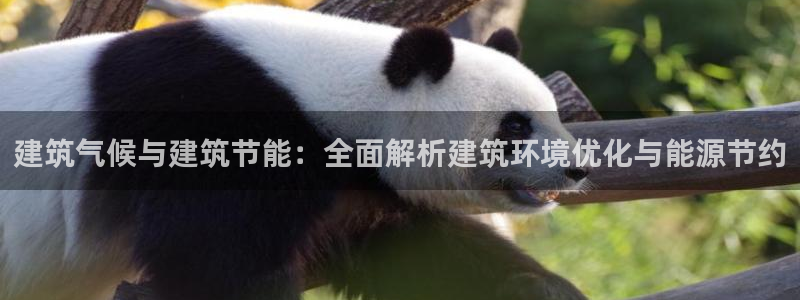 e尊国际客户端