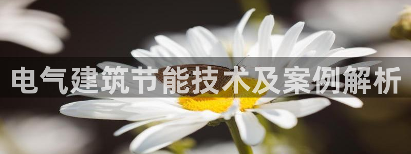 e尊国际-可可计划：电气建筑节能技术及案例解析