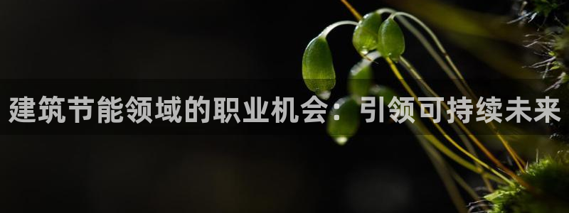 e尊国际官网app：建筑节能领域的职业机会：引领可持续未来