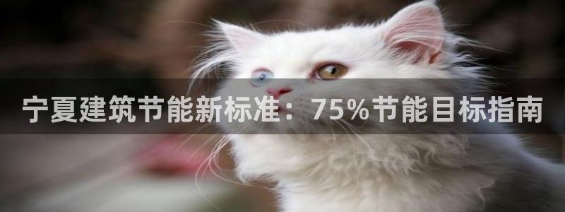 e尊国际官网·网址：宁夏建筑节能新标准：75%节能目标指南