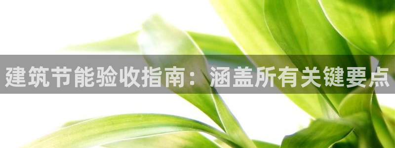 e尊国际平台：建筑节能验收指南：涵盖所有关键要点