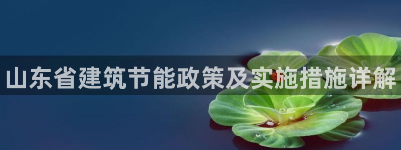 e尊国际官网app：山东省建筑节能政策及实施措施详解