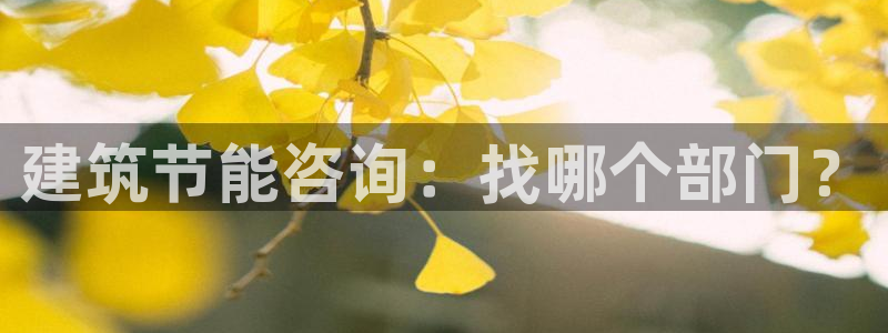 e尊国际-可可计划：建筑节能咨询：找哪个部门？